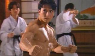 甄子丹电影 甄子丹电影