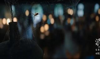 消失的她彩蛋 消失的她彩蛋