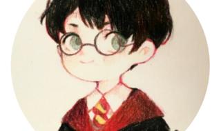 适合哈利波特迷的头像 适合哈利波特迷的头像